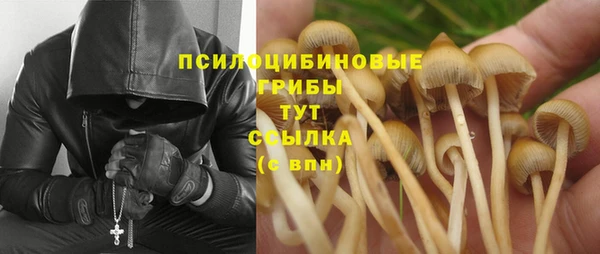 стафф Вяземский