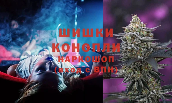 стафф Вяземский