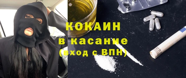 стафф Вяземский